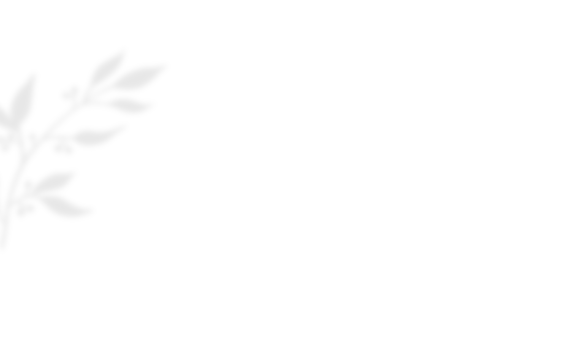 shadow_leaves_03 https://visualtimbo.ch/wp-content/uploads/2020/10/shadow_leaves_03.png